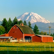 Task Force List - Coalition of Task Forces